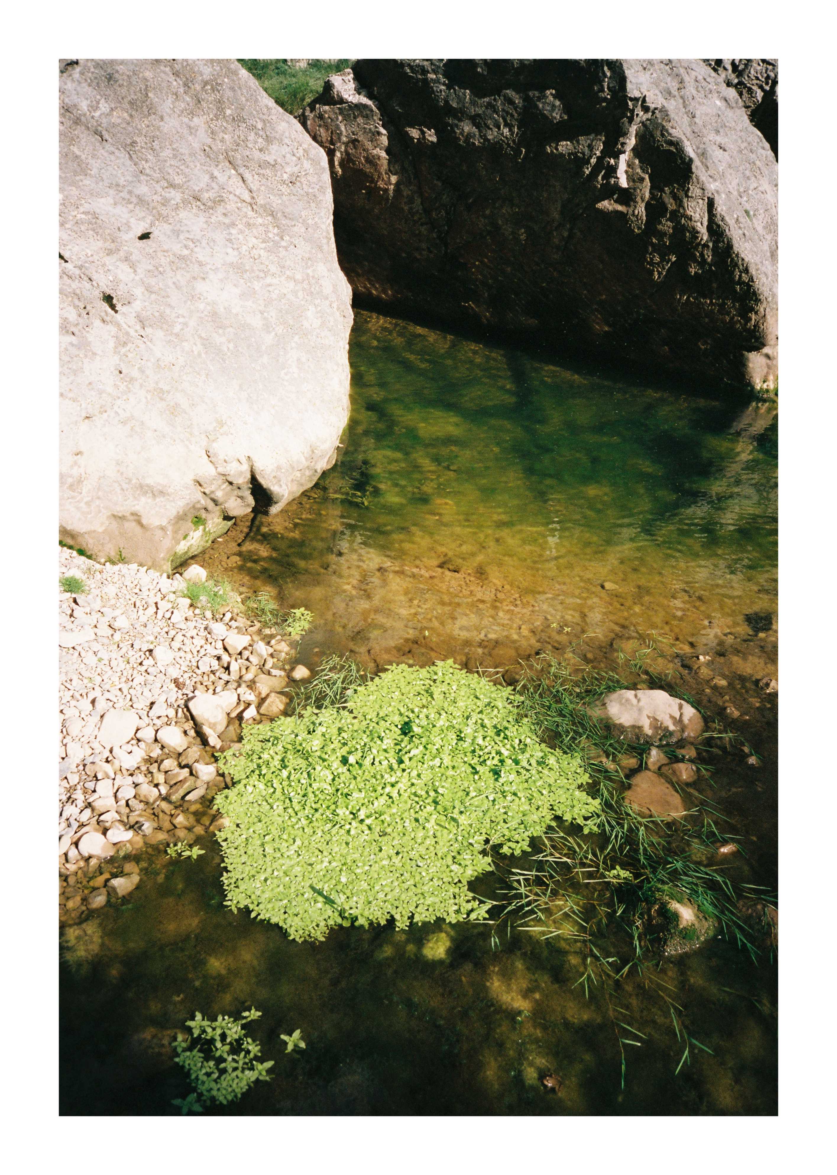 Natural pool surrounded by rocks and vegetation